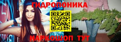jwh Аргун