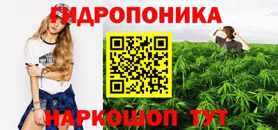 jwh Аргун